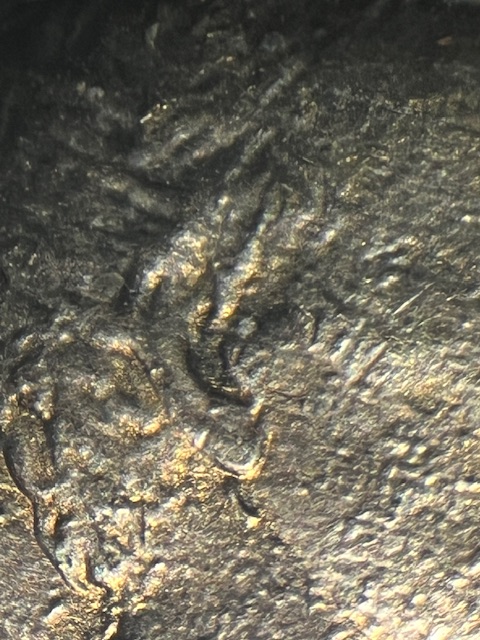 Lincoln-Cents--1987--Earring-?